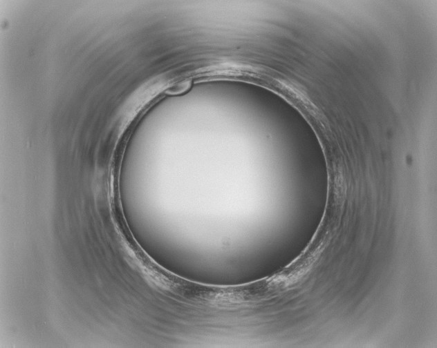 X0000060811418200511141454