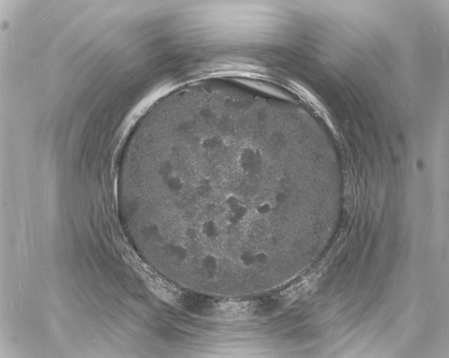 X0000060811419200511141454