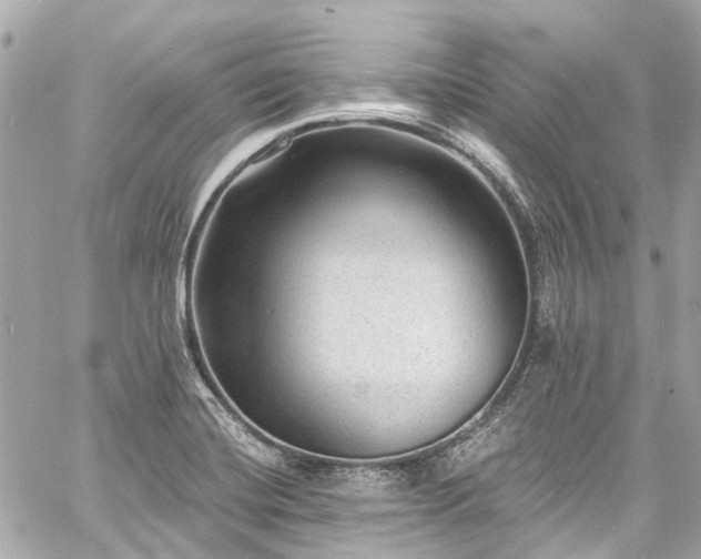 X0000060811420200511141454