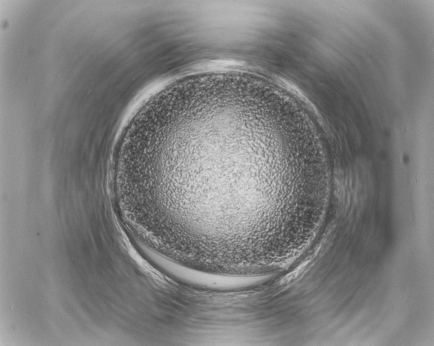 X0000060811421200511141454