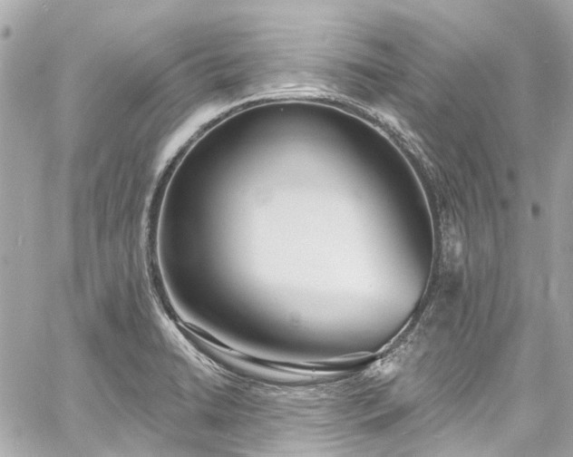 X0000060811422200511141454