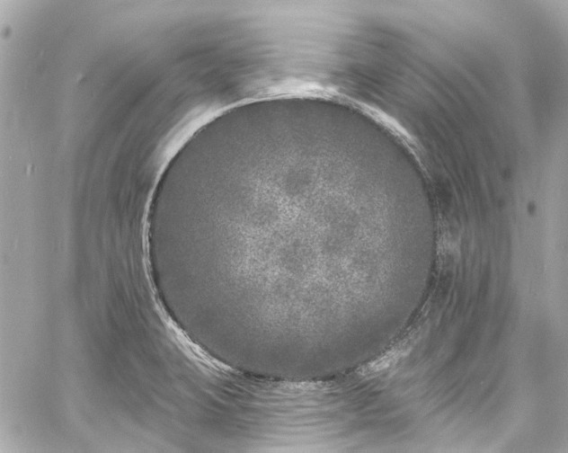 X0000060811423200511141454