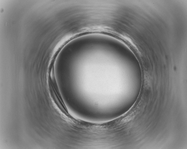 X0000060811424200511141454