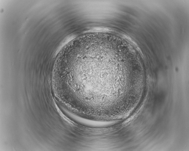 X0000060811425200511141454