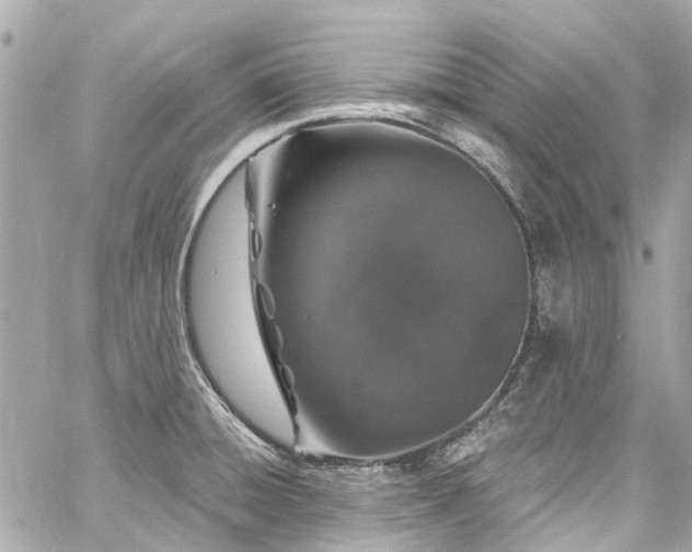 X0000060811428200511141454