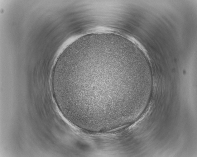 X0000060811429200511141454