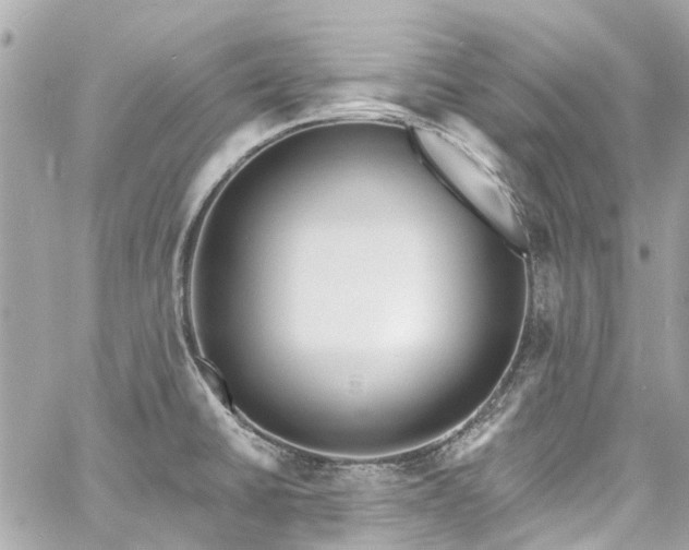 X0000060811430200511141454