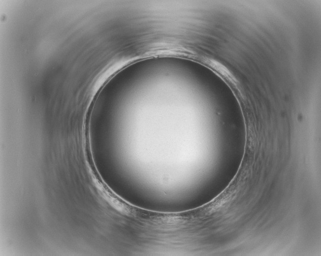 X0000060811431200511141454