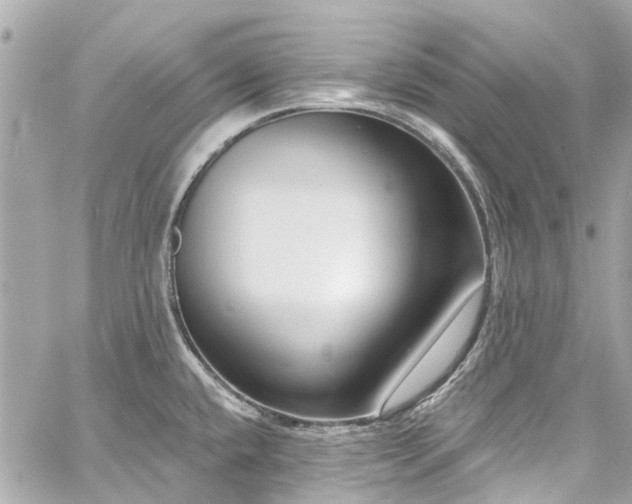 X0000060811432200511141454