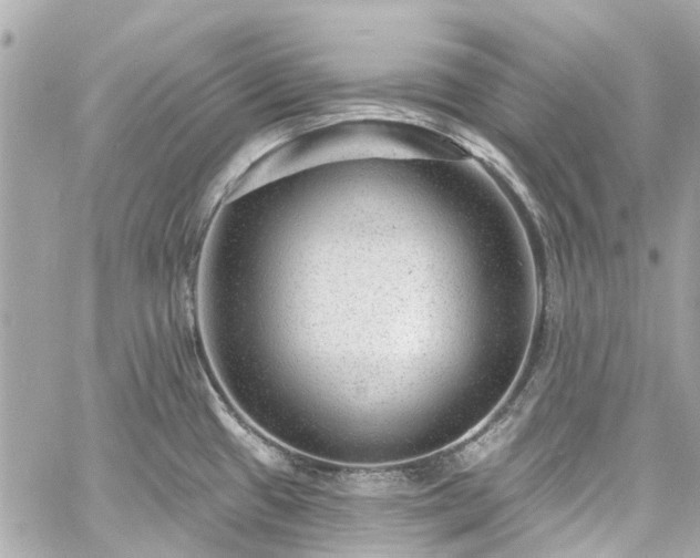 X0000060811433200511141454