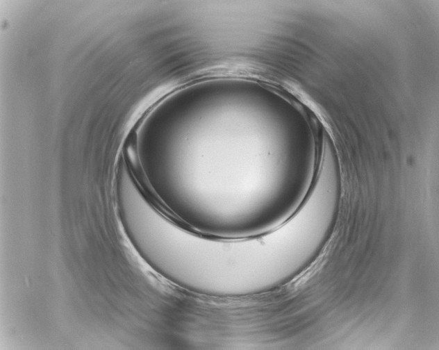 X0000060811434200511141454