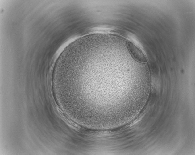 X0000060811435200511141454