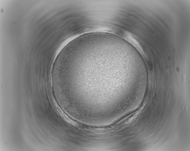 X0000060811436200511141454