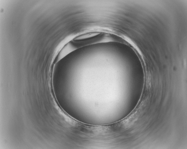 X0000060811437200511141455