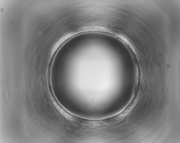 X0000060811438200511141455