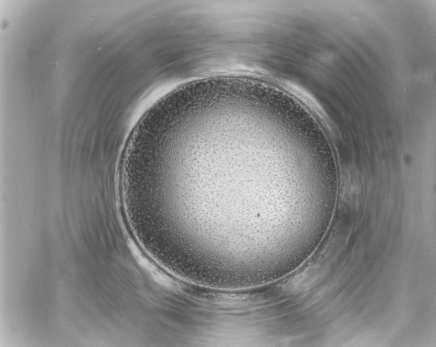 X0000060811439200511141455