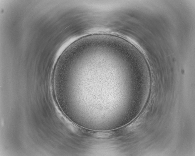 X0000060811440200511141455