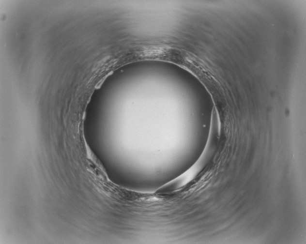 X0000060811441200511141454