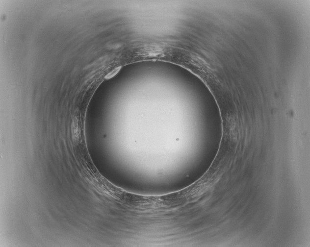 X0000060811442200511141454