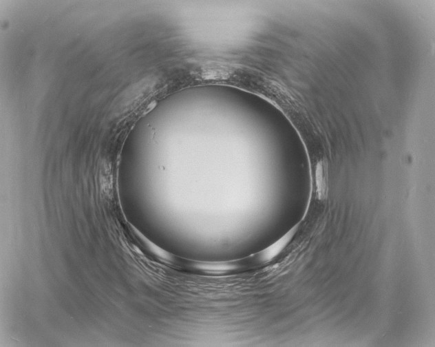 X0000060811443200511141454