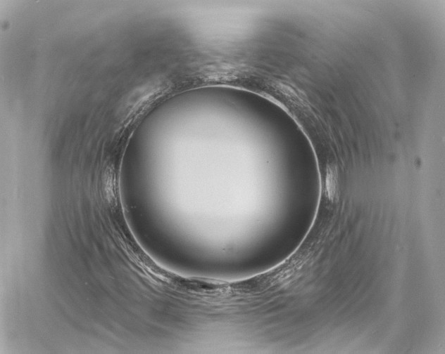 X0000060811444200511141454