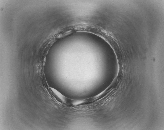 X0000060811445200511141454