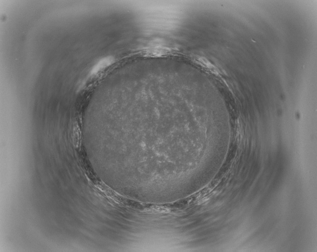 X0000060811446200511141454