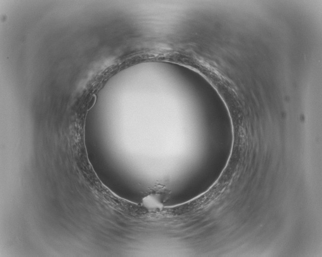 X0000060811447200511141454