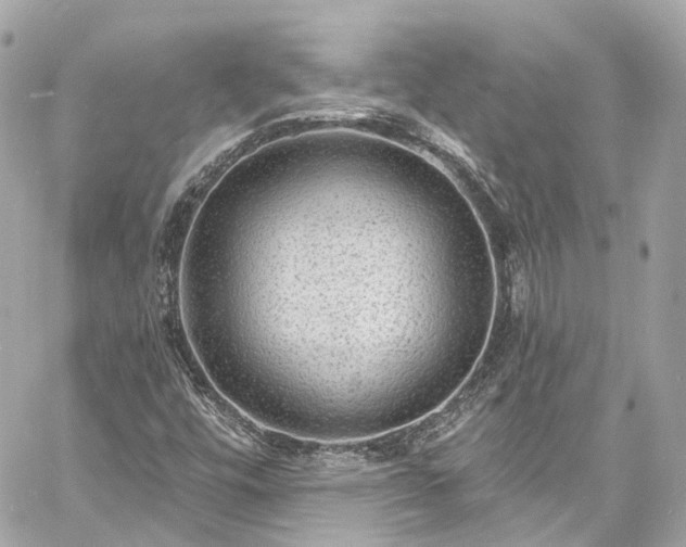 X0000060811448200511141454