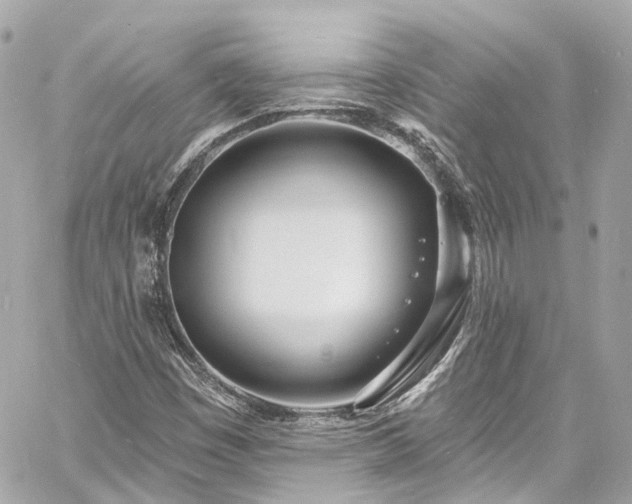 X0000060811449200511141454