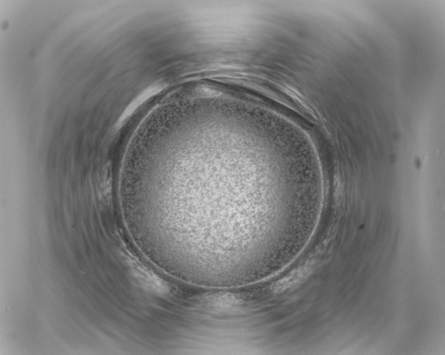 X0000060811450200511141453