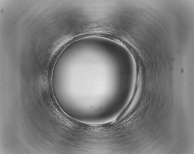 X0000060811452200511141453