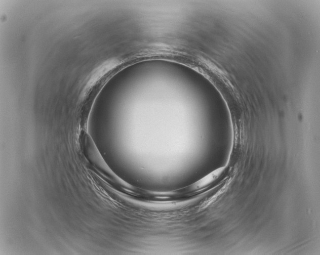 X0000060811453200511141453