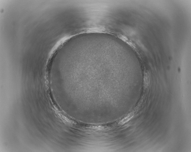 X0000060811454200511141453