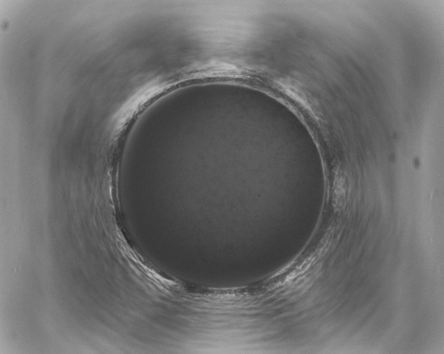 X0000060811455200511141453