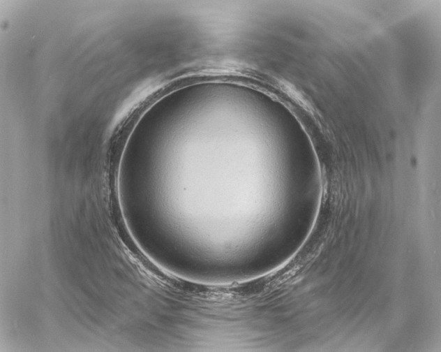 X0000060811456200511141453