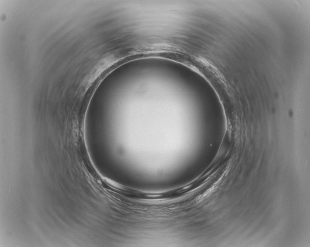 X0000060811457200511141453