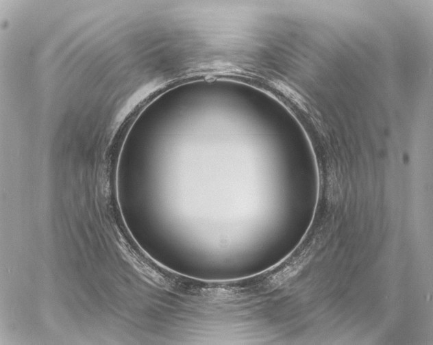 X0000060811458200511141453