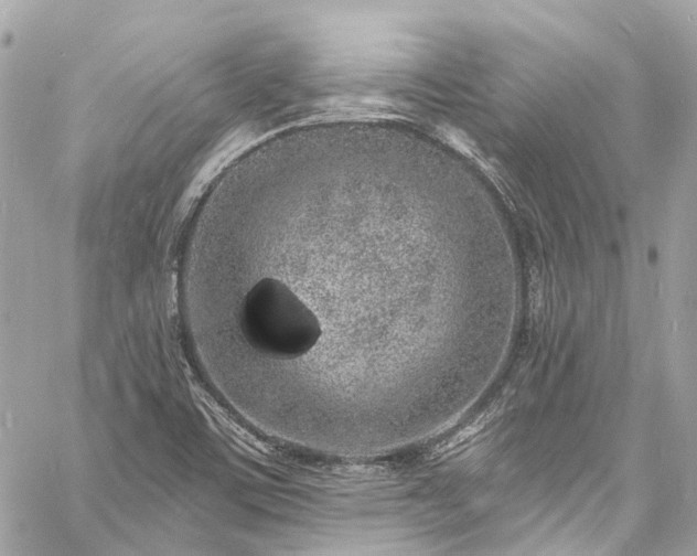 X0000060811459200511141453