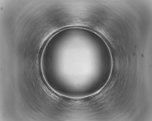 X0000060811460200511141453