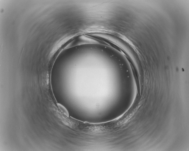 X0000060811461200511141453