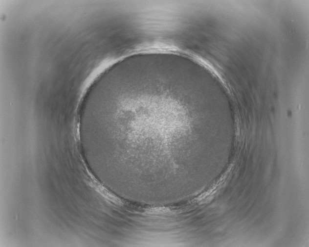 X0000060811462200511141453