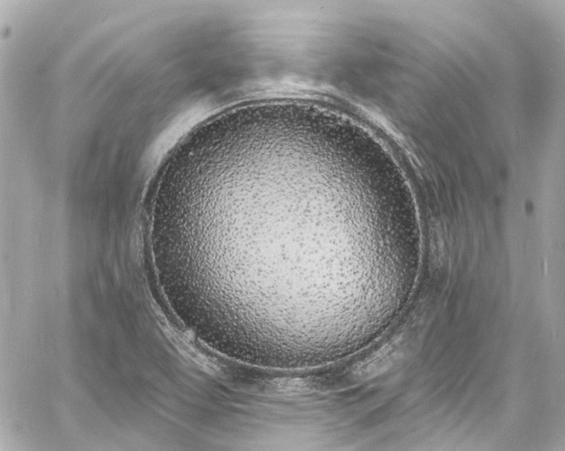 X0000060811463200511141453