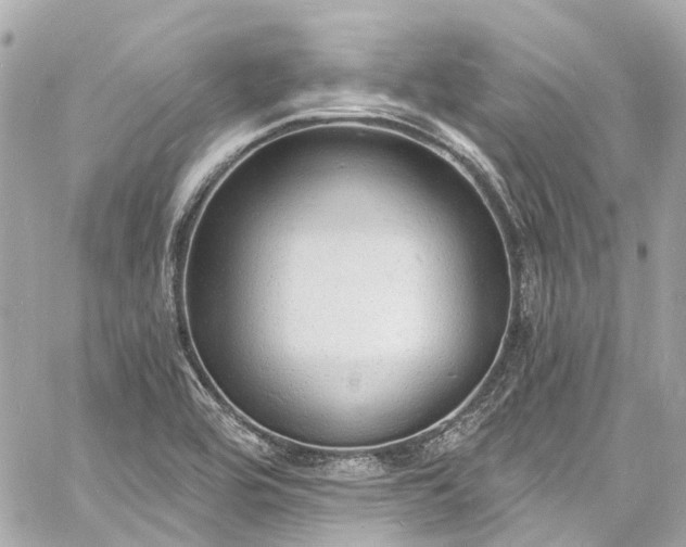 X0000060811464200511141453