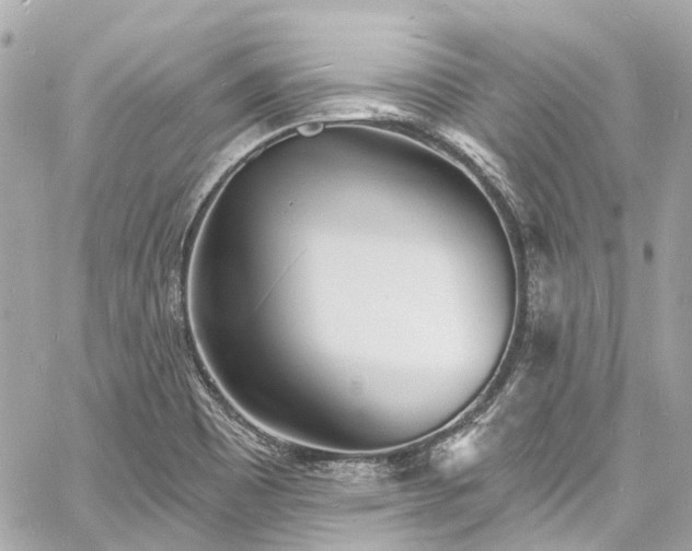 X0000060811465200511141453