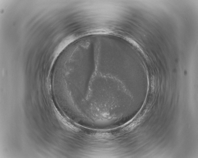 X0000060811466200511141453