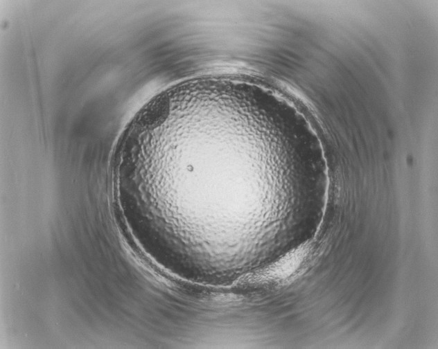 X0000060811467200511141453