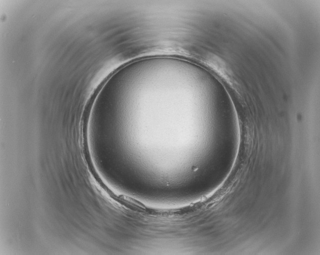 X0000060811468200511141453