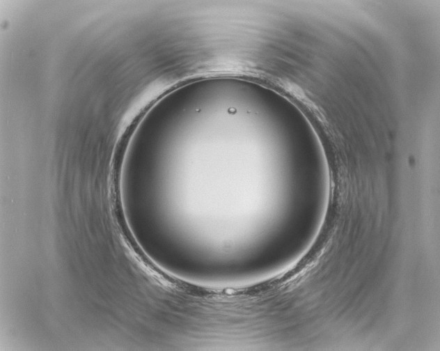 X0000060811469200511141453