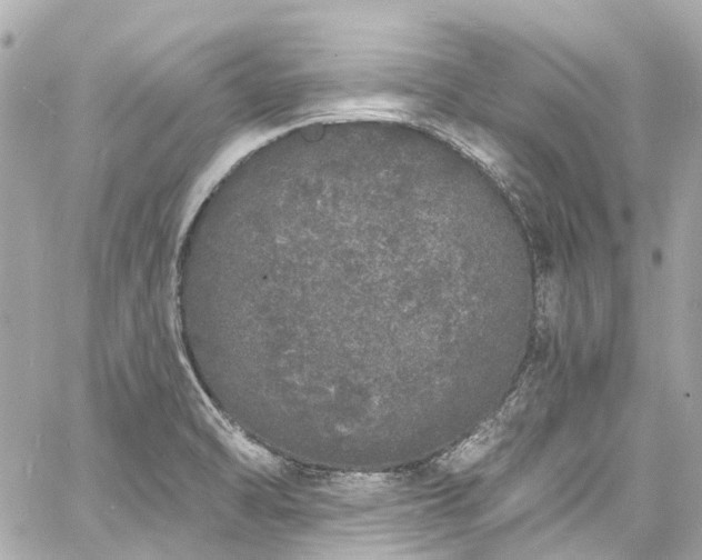 X0000060811470200511141453